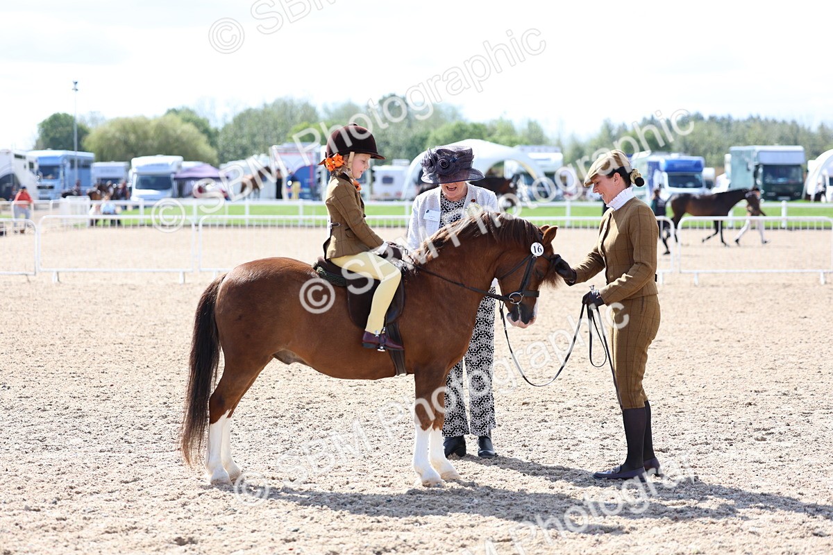 SBM_13063 - Class 309 - Lead Rein Pony