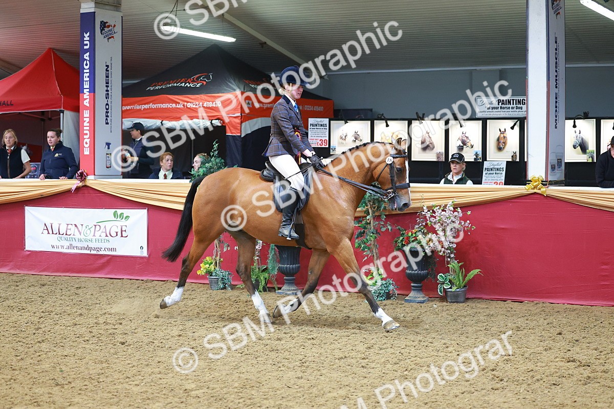 SBM_12723 - Class 103 - HOYS Veteran Qualifier - Ridden Pre Vet