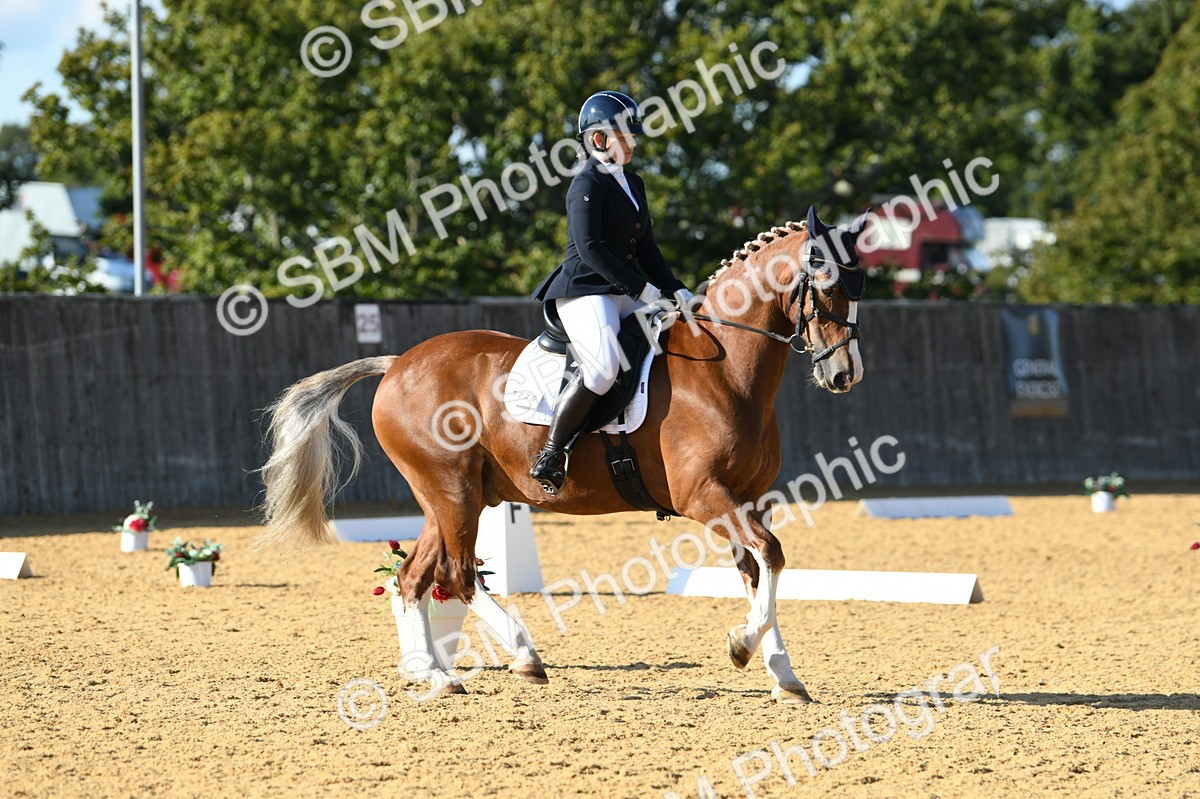 SBM_27305 - D16 - Small Tour Championship - Novice 28