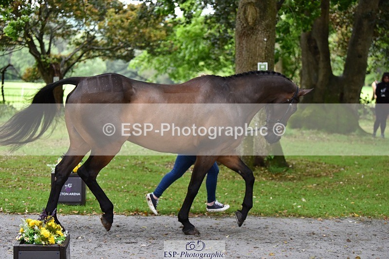 240522-155424-00577 - 102-TYNAN_COOLEY-Lucy_Stimson