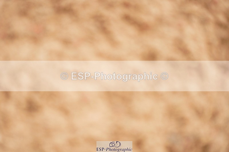 240524A-100504-02669 - Cls 13 Snr 1.05m and 1.10m