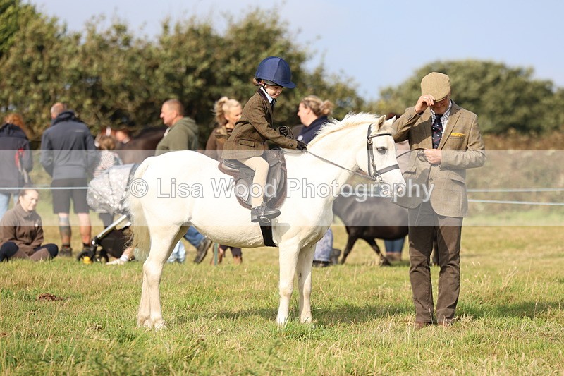 3E7A3710 - Class 2: Lead rein