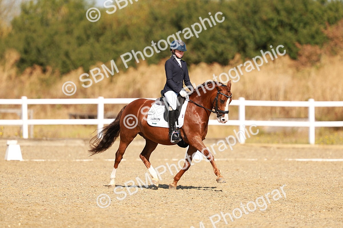 SBM_016823 - Class 9 - N5 Bronze 9.30.10.19