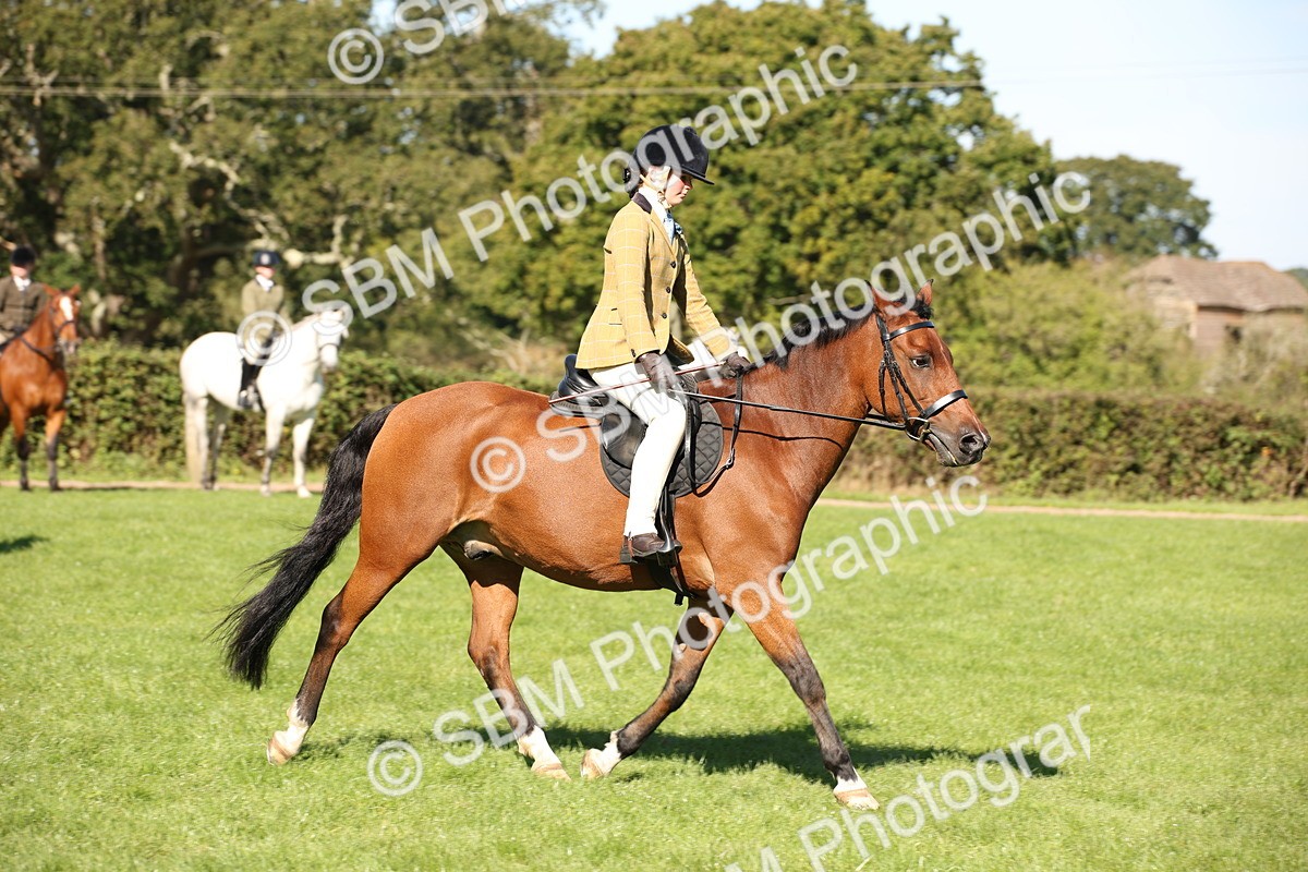 SBM_38986 - S11 - Best Ridden Horse & Pony
