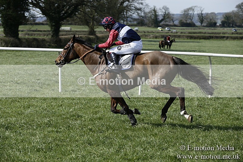 PtP 260317 18 - Mendip Farmers Point-to-Point Ston Easton 26/03/17