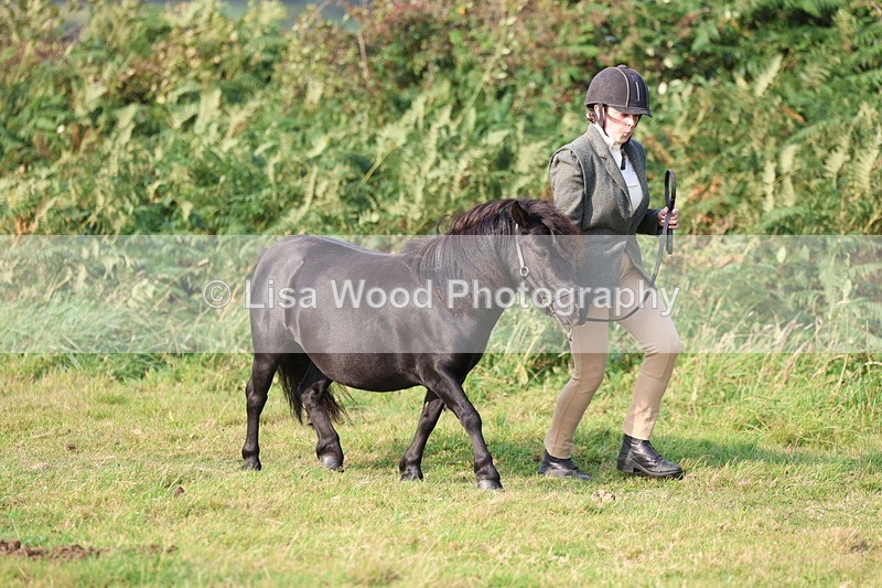 3E7A3179 - Class 12: M & M Small Breeds