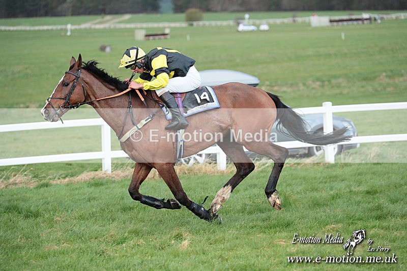 PtP 230324 896 - Tedworth Hunt PtP Larkhill Raccourse 23rd March 2024