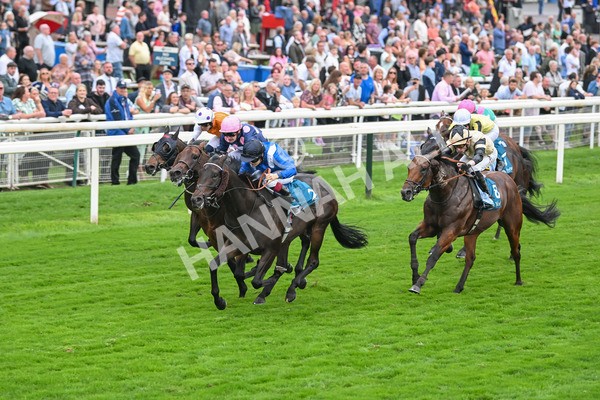 080925-Race 5-Elmonjed-7694 - Race 5 4.30pm Sky Bet Starman Garrowby Stakes
