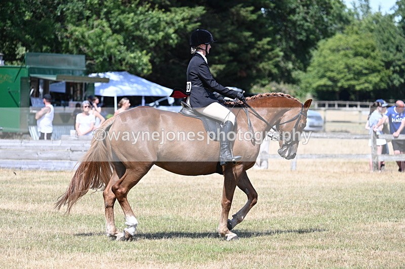 WJ7_3639 - Class 8 Ridden Veterans