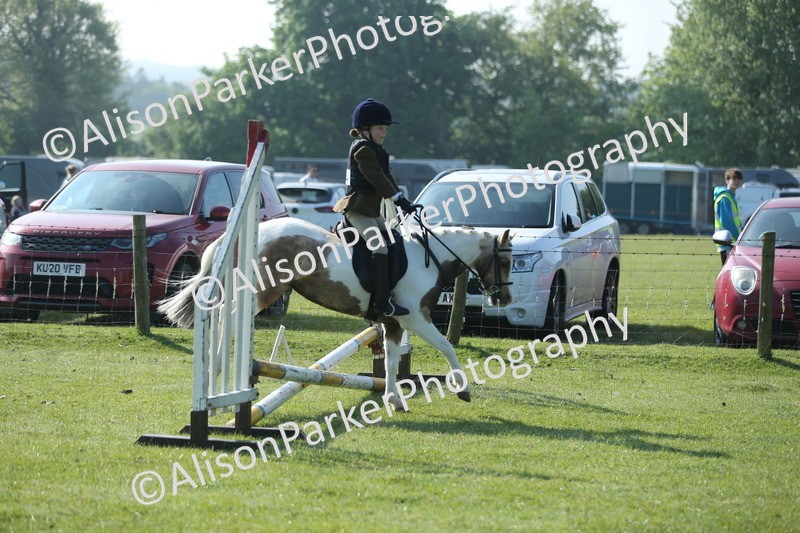 20250427-0821 - Class 1 - Mini Jumping Lead Rein or Assisted