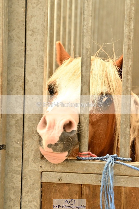 250821B-125900-00465 - Stable Shots and Group Photo