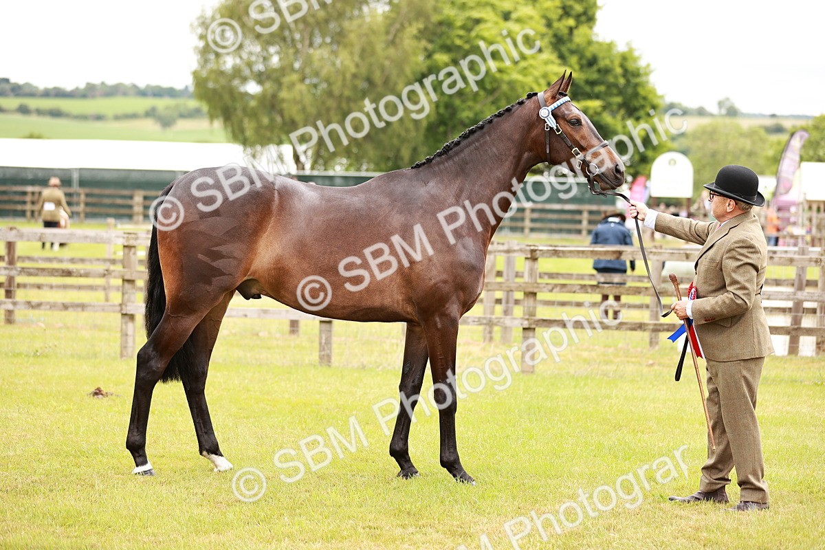 SBM_04792 - Class 35-38 Riding Horse Breeding