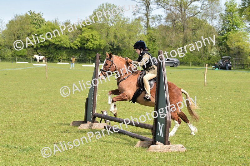 20260426-2294 - Class 20 - Beginner Working Hunter