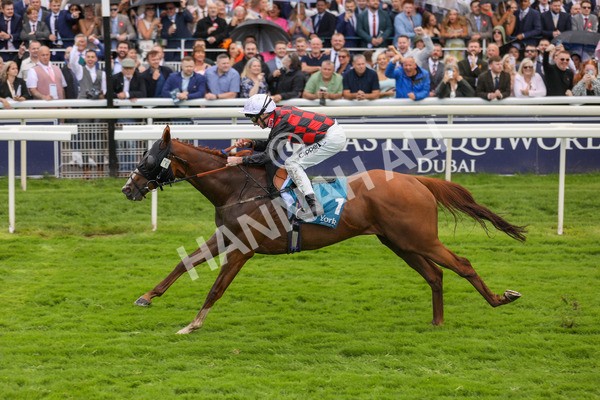 150723-Race 1-Blue For You-8761 - Race 1 2.00pm John Smith's Racing Handicap
