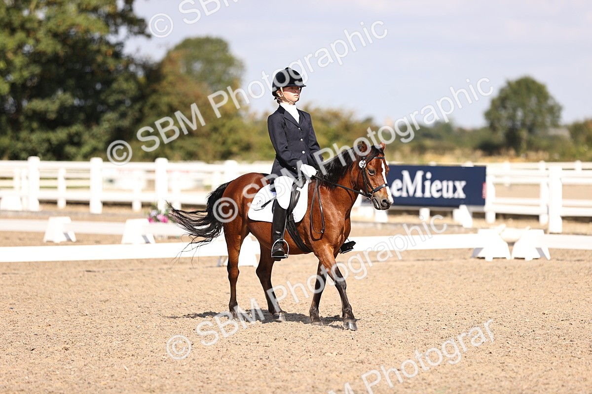 SBM_03506 - CLass 35 Intro 3