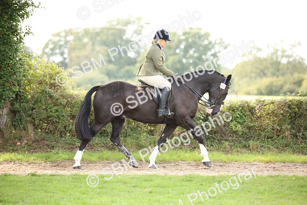 SBM_70370 - S66 - Hunter Ridden