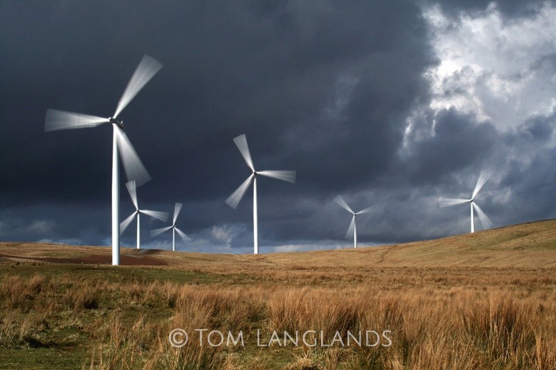 Harvesting the Wind - Landscapes