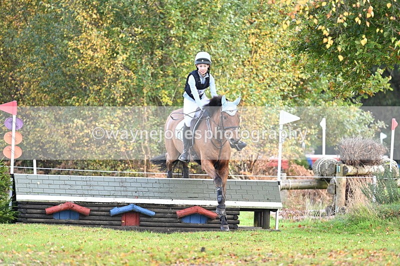 WJ7_0374 - 80cm Cam 2 Water Time 10:45 to 11:06