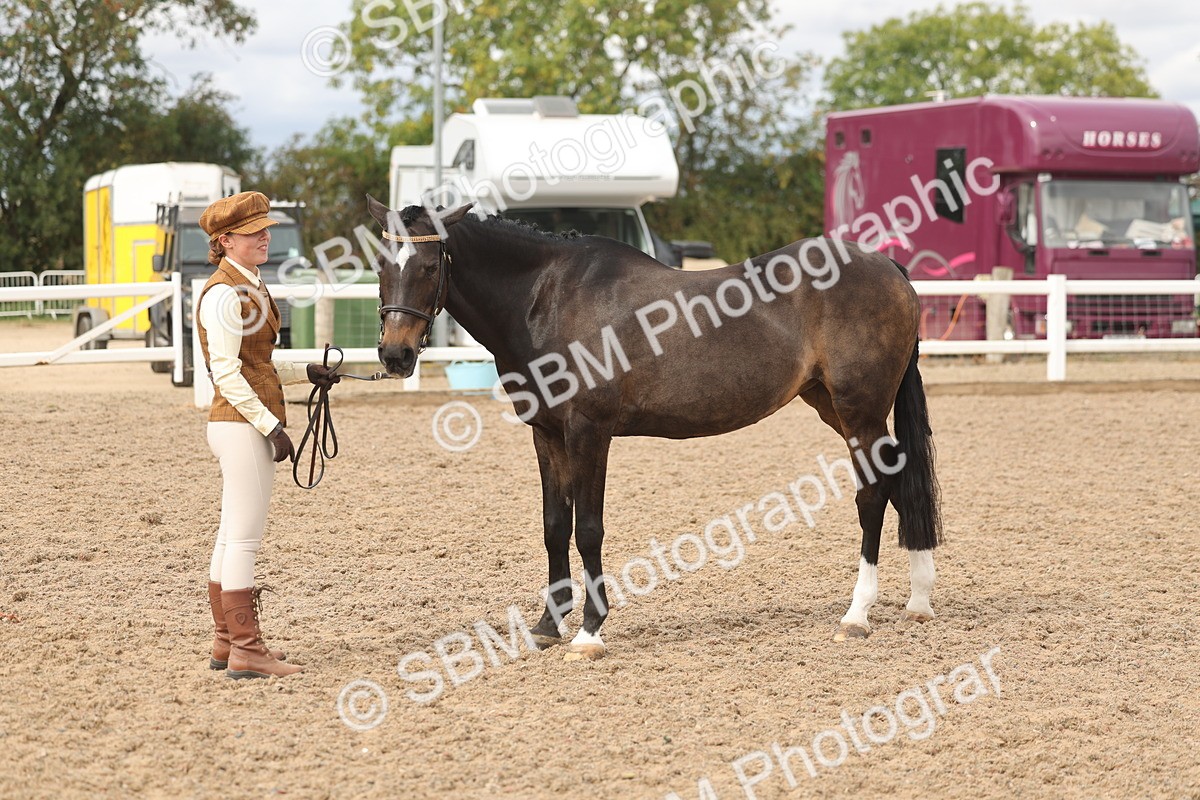 SBM_05033 - Class 20 - IH Veteran