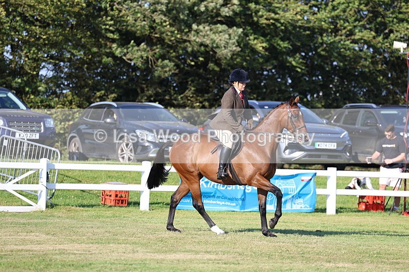 3E7A4937 - Class 1: Rising Star Small Hack/Riding Horses