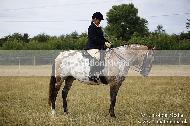 _C7A9524 - BVRC Show 2018 Ring 1