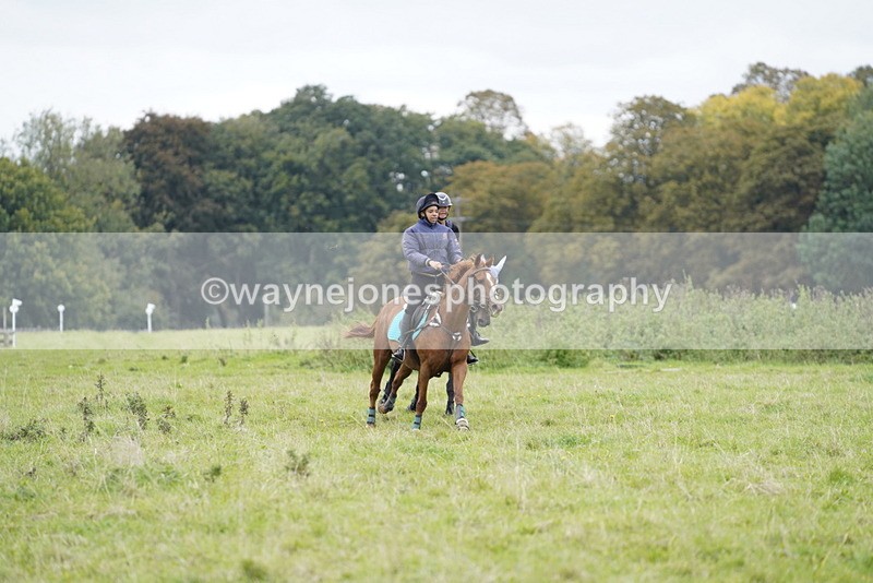 _DSC8083 - Time at Photographer 11:57 to 12:36