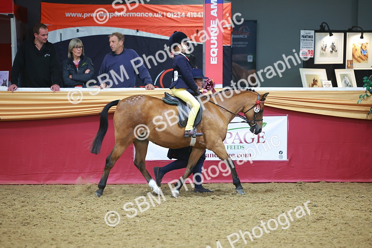SBM_09665 - Class 102 - HOYS Veteran Qualifier - Ridden Veteran