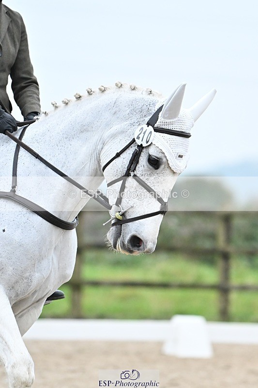 241103-152137-03106 - Novice 1 - 14.44 to 16.08