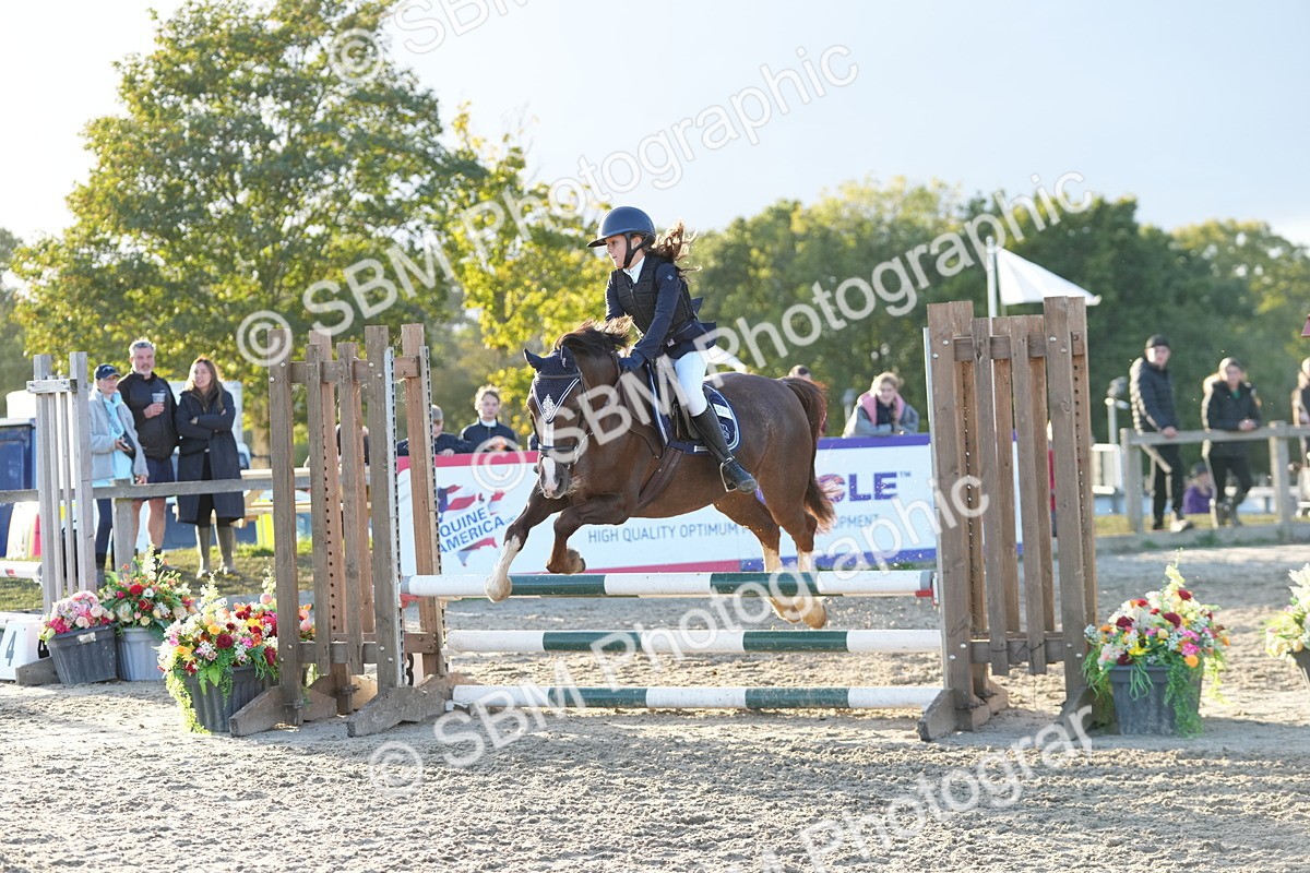 SBM_54134 - Supreme Championship 60cm 65cm