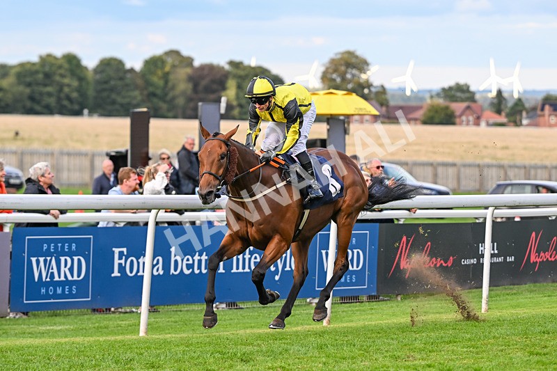 160926-Race 8-Evelyns Phoenix-2206 - Race 8 5.50pm Hurn Handicap (Div II)