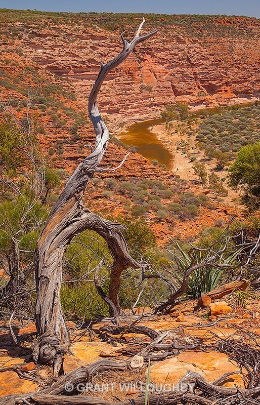  - Australia