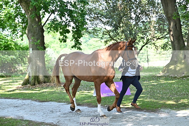 250521A-154233-00705 - B-354-Oliver.Thompson-LAGANS.RICE.STAR