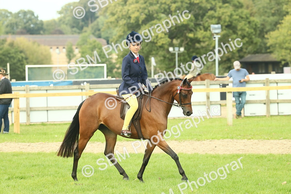 SBM_68086 - S57 - Part Bred Pony Ridden