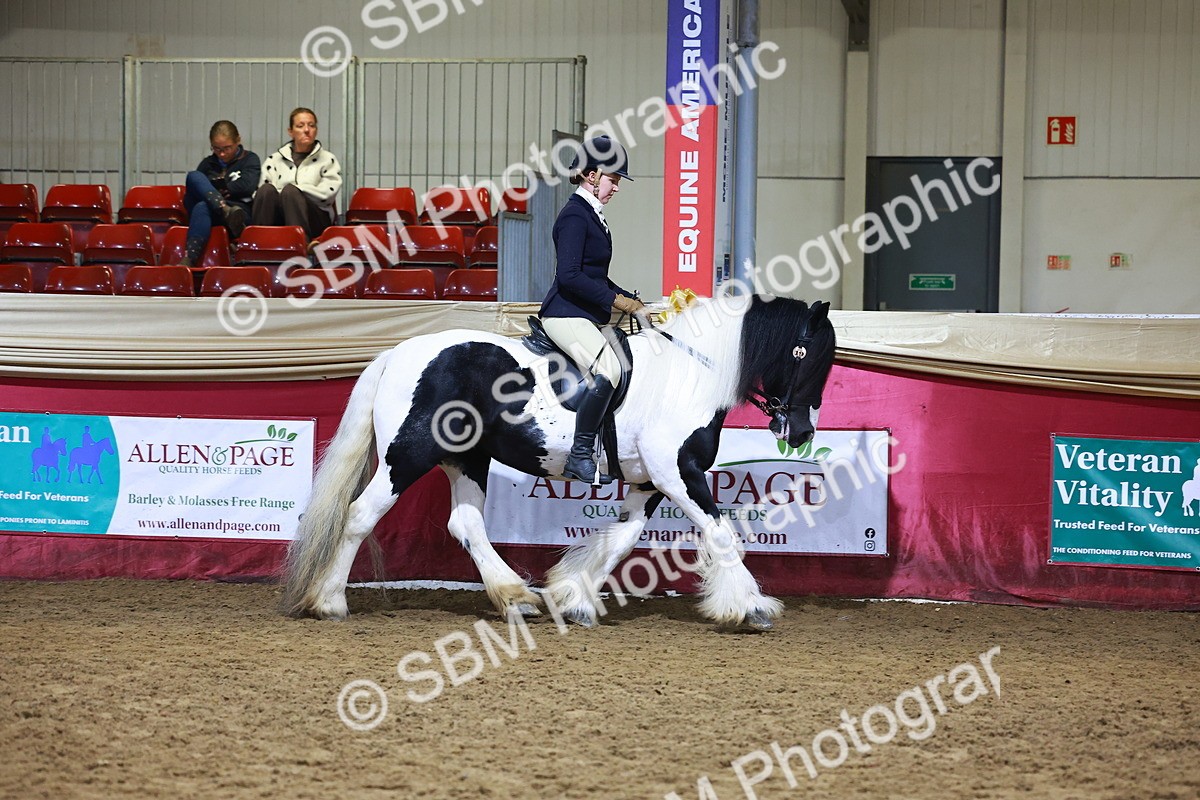 SBM_15586 - Class S - Style & Performance Champ