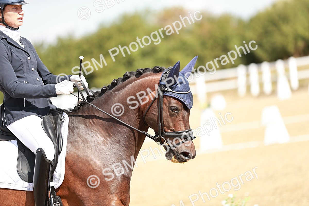 SBM_009376 - Class 11 - AM6