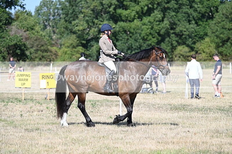 WJ7_3413 - Class 9 Mountain & Moorland Ridden