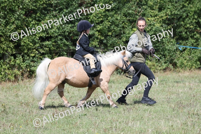 20250831-2661 - Class 17 - Lead Rein Pony