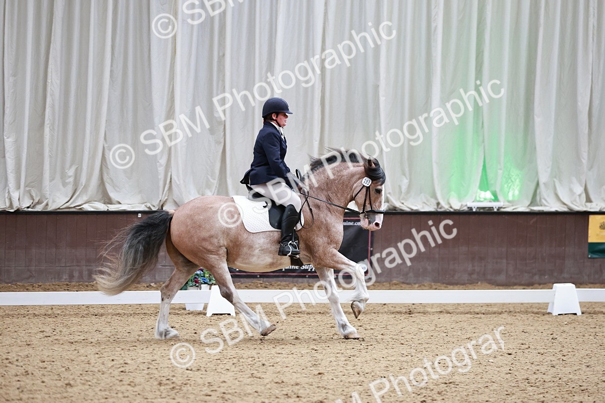SBM_014236 - Class 7 - Ele FSM Bronze 12.12.13.08