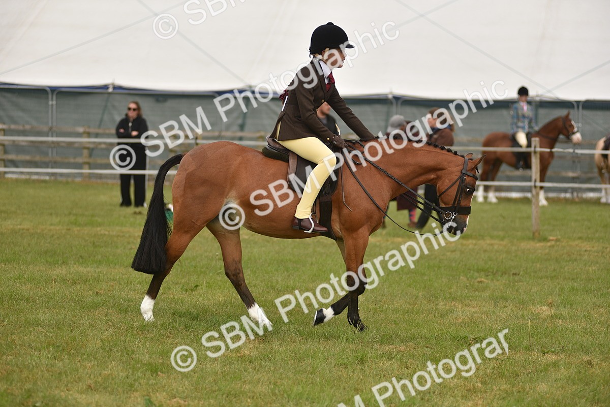 SBM_10705 - Class 110-112 - LIHS BSPS Performance Pones