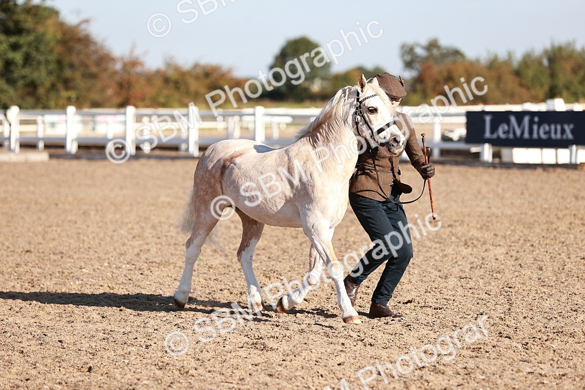 SBM_11414 - Class 402 - IH  Veteran pony