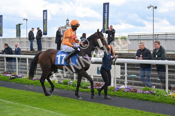 yr22052021r7-13 - Race 7 5.25pm Hudson Quarter York Palace Capital Stakes - Gentleman Amateur Riders Race