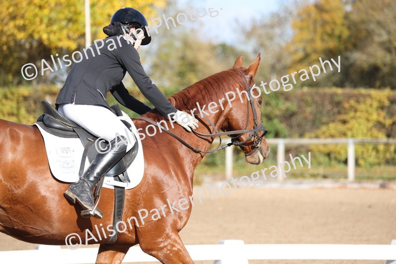 20251102-0608 - Class 4 - Novice 6