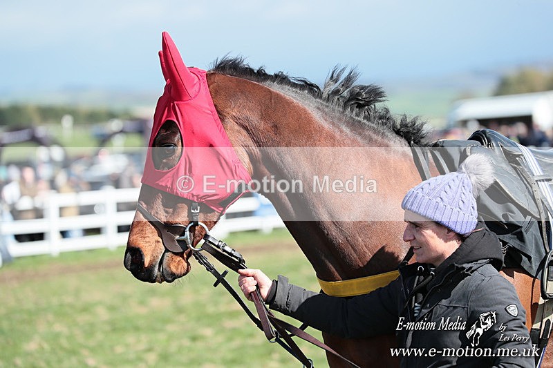 PtP 230324 238 - Tedworth Hunt PtP Larkhill Raccourse 23rd March 2024