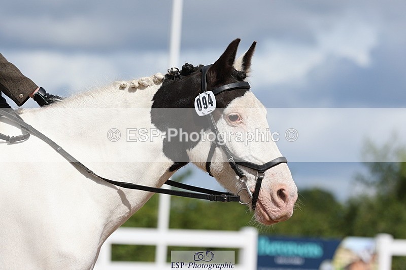 240706A-103418-00447 - Cls 2A Snr Prelim 7 10.15 to End