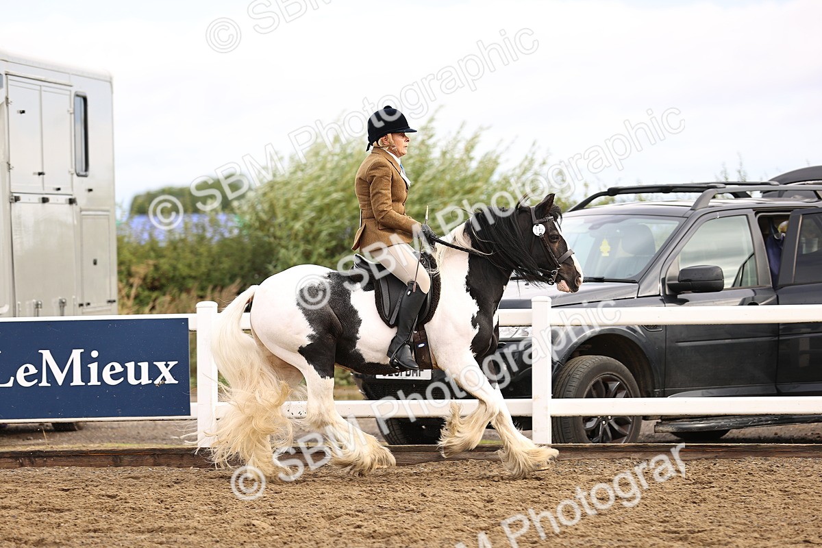 SBM_00246