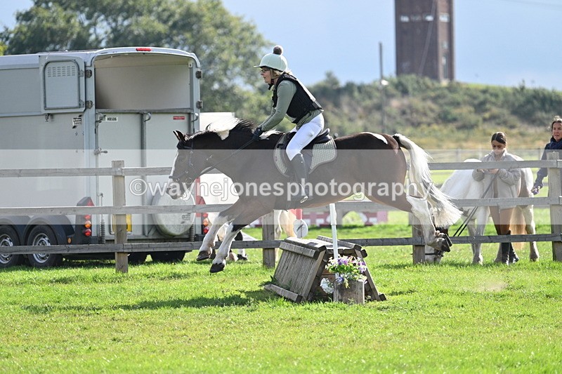 WJ7_4818 - 60cm Time 11:11 to 11:19