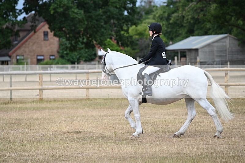 WJ6_7376 - Class 9 Tack and Turnout