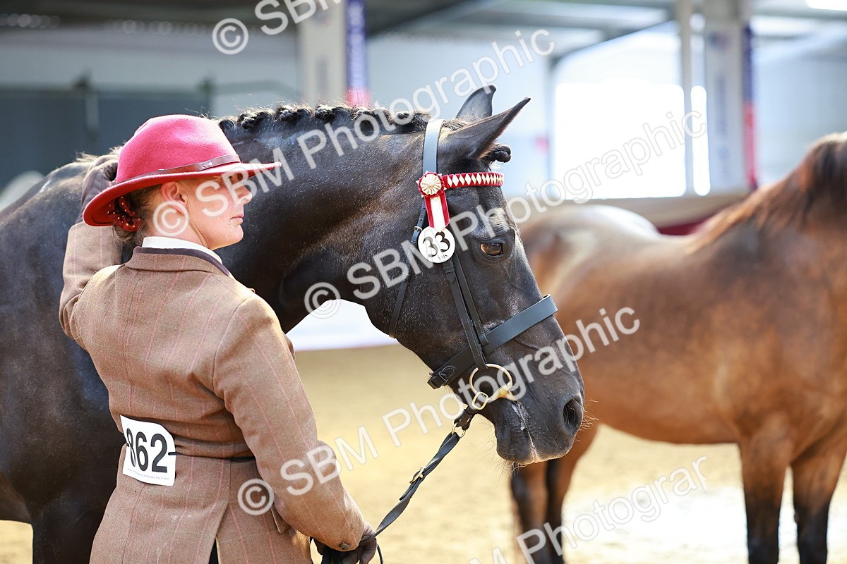 SBM_02331