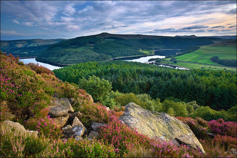 Ladybower Summer 2 - Peak District | Dark Peak