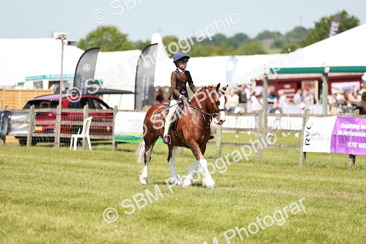 SBM_15758 - Class 108-109 - BSPS LIHS Open Gradle & Nursery Stakes
